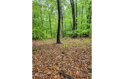 Mosquito Hollow Road, Six Mile Run, PA 16679