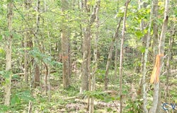 9-A-61 Springfield Road, Meherrin, VA 23954