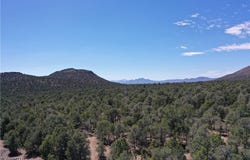 Side Hill Pass lot: 1-A, Pioche, NV 89043