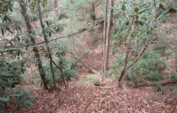 315 Falcon Crest Way, Pickens, SC 29671