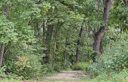 241 Blackhawk Trace, GALENA, IL 61036