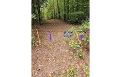 E 28 Acres Dallas 203, Carthage, AR 71725
