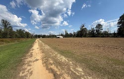 35712 Weiss Road, Walker, LA 70785