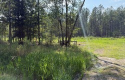 Cohen Road, Pineland, SC 29934