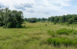 HIGHWAY 15, Downsville, LA 71234