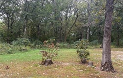 51 Oakdale Circle, Cuba, MO 65453