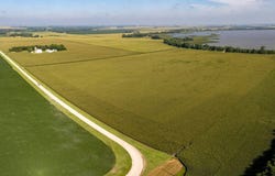 49589 230th St, Easton, MN 56025