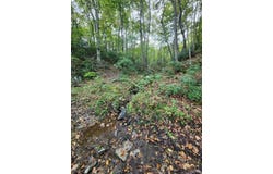 River bottom Ln, Concord, VA 24538