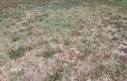 325 W LANGLEY BLVD, Universal City, TX 78148