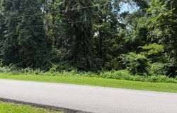 Chestnut Drive, Bellaire, OH 43906