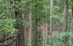 Bousman Cir, Hardy, VA 24101