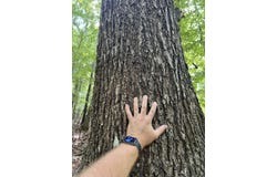 Judson Park Dr, Cottondale, AL 35453