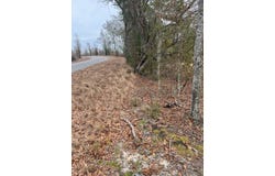 Whl 7 Rainbow Drive, Salley, SC 29137