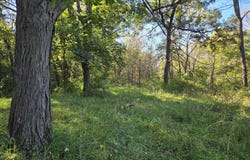 200th Avenue, Sigourney, IA 52591