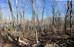 236 Lakeledge Road, Beech Mountain, NC 28604