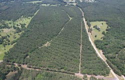 FM 999, Gary, TX 75643