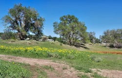 E Fleetwood Avenue, Springerville, AZ 85938