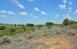 E 1960 Rd, Grandfield, OK 73546
