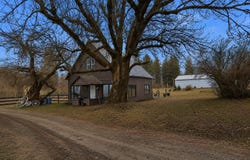 305 River Rd, Usk, WA 99180