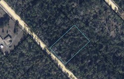 Papaya Drive, Marianna, FL 32448