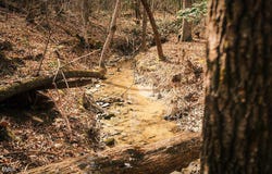 Ferguson Road, Chapel Hill, NC 27516