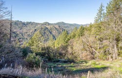 40643 Covelo Road, Willits, CA 95490