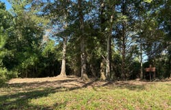 Z Hwy 84, Red Level, AL 36474