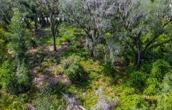 1705 SW MLK DRIVE, Jasper, FL 32052
