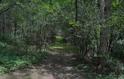21 Rip Van Winkle Drive, Athens, NY 12015