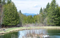 1435 Dexter Mountain Road, Glover, VT 05846