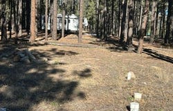 CR N2121, Alpine, AZ 85920