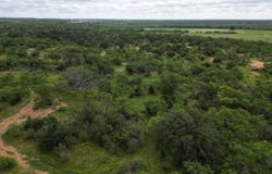 5181 CR 202, San Saba, TX 76877