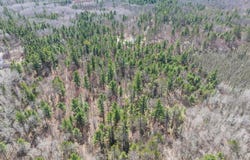 Off ZEMAN RD lot: 2, Eagle River, WI 54521