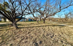 263 Wits, Abilene, TX 79601