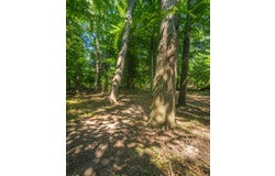5940 Barberry Trl, Lorton, VA 22079