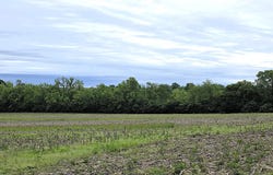 Legacy Meadows lot: 1, Martinsville, IN 46151