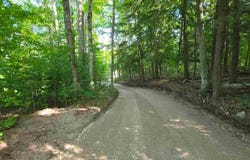 3054 Webb Road, Wolverine, MI 49799-9785