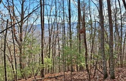 Briarwood Road, Webster, NC 28788