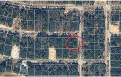 SW 144TH Place, OCALA, FL 34480