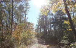 PID 25936 Moore Cemetery Road, Groveton, TX 75845
