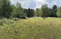 Westchester Drive lot: 101, Gladwin, MI 48624