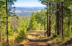 TBD Wagner Ridge Road, Coulterville, CA 95311