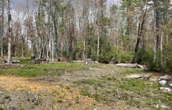 33 Forrest Lane, Newfane, VT 05345