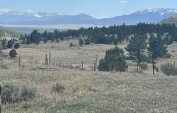 291 Junkins Lp, Westcliffe, CO 81252