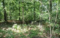 Lakview Drive, Wappapello, MO 63966
