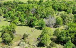 468 Deep Creek Lane, Franklin, TX 77856