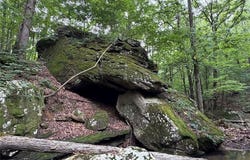 NC 8330, Jasper, AR 72641