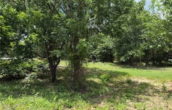 TBD 4 Slate Rock Road, Ennis, TX 75119