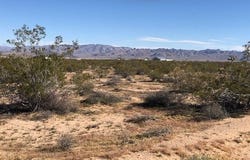Sunburst Avenue, Joshua Tree, CA 92252