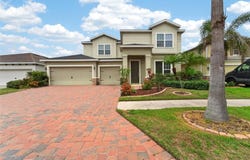11628 LAKE LUCAYA Drive, RIVERVIEW, FL 33579
